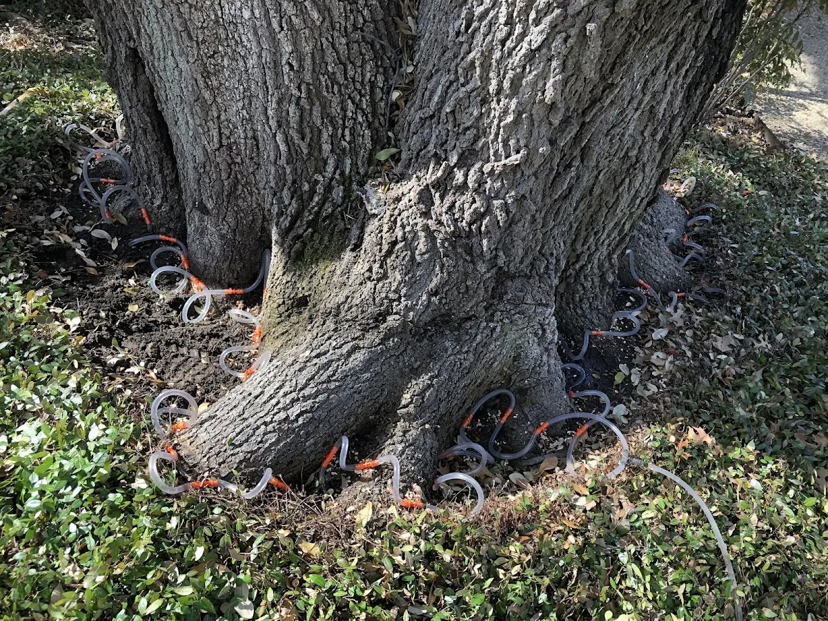 Detailed Shrub and Hedge Trimming job site in North Greece